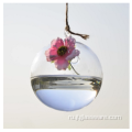 Подвесная стеклянная стеклянная ваза с шаром для террариума